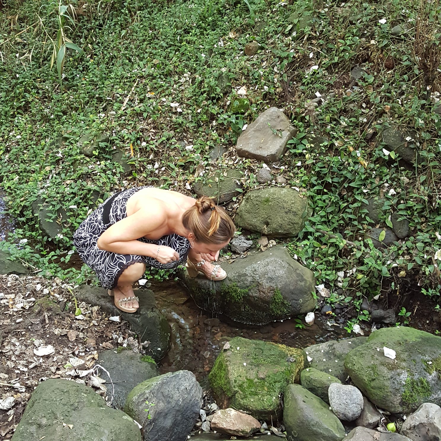 Wasser aus dem Fluss.jpg